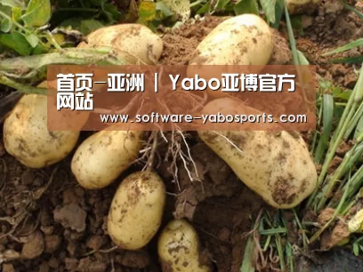 种植基地六