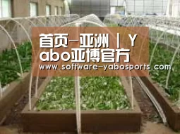 环境展示五