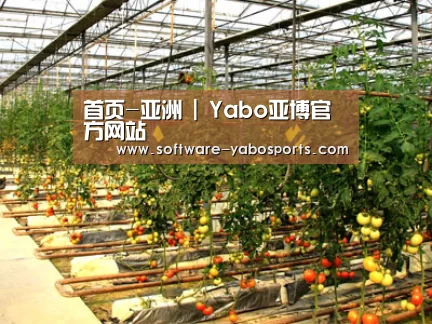 种植基地二