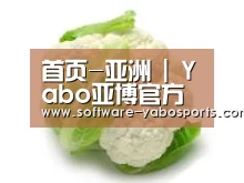 产品名称九