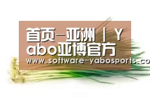产品名称二