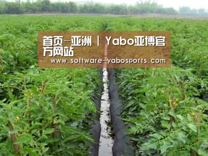 种植基地三