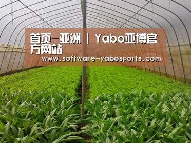 种植基地四