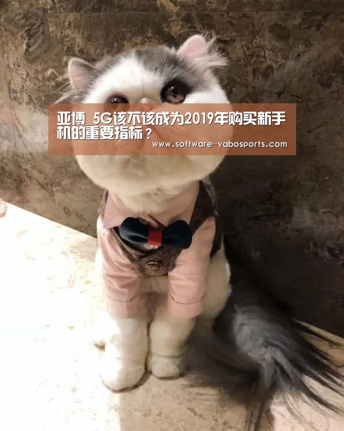 亚博_5G该不该成为2019年购买新手机的重要指标？(图4)
