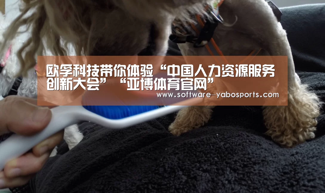 欧孚科技带你体验“中国人力资源服务创新大会”“亚博体育官网”(图2) 欧孚科技带你体验“中国人力资源服务创新大会”“亚博体育官网”(图2)